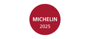 Logo Michelin 2025